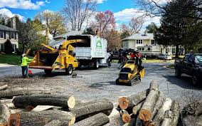 How Our Tree Care Process Works  in  West Baraboo, WI